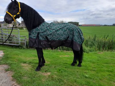 Winterdeken paard Goedkope paardendekens | Goedkopepaardendekens.nl