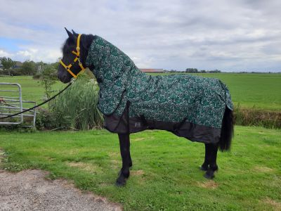 Recreatie Betrokken Tijdig Winterdeken paard kopen? Goedkope paardendekens | Goedkopepaardendekens.nl