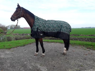 Lezen Inconsistent auteur Winterdeken paard kopen? Goedkope paardendekens | Goedkopepaardendekens.nl