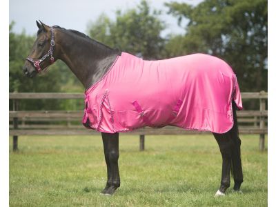 wit rook het spoor Zomerdeken voor uw paard kopen? Bekijk onze aanbiedingen |  Goedkopepaardendekens.nl