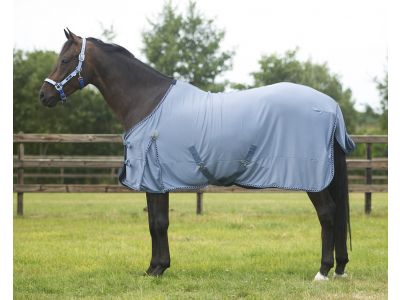 wit rook het spoor Zomerdeken voor uw paard kopen? Bekijk onze aanbiedingen |  Goedkopepaardendekens.nl