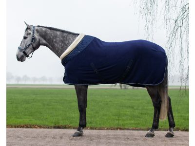 Geven Dood in de wereld Verzoekschrift Zweetdeken, fleecedeken of wollen deken voor uw paard |  Goedkopepaardendekens.nl