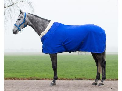 tevredenheid spade verkeer Zweetdeken, fleecedeken of wollen deken voor uw paard |  Goedkopepaardendekens.nl