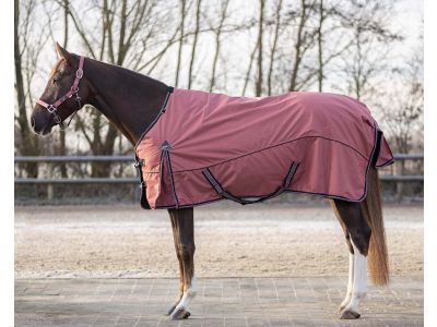 Winterdeken paard Goedkope paardendekens | Goedkopepaardendekens.nl