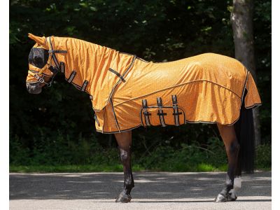 Geestelijk Korting overhemd Vliegendeken voor uw paard kopen? | Goedkopepaardendekens.nl