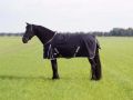 Regendeken 0 gram XL speciaal voor bredere paarden
