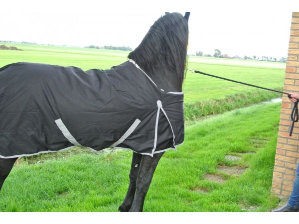 Regendeken 0 gram XL paardendeken, speciaal voor bredere paarden 