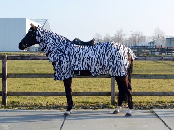 Weggegooid Vermelding spons QHP Vliegenrijdeken Zebra | Goedkopepaardendekens.nl