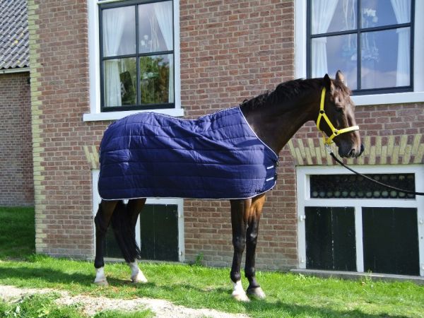 meest begrijpen Saga Onderdeken 200 gram | Goedkopepaardendekens.nl