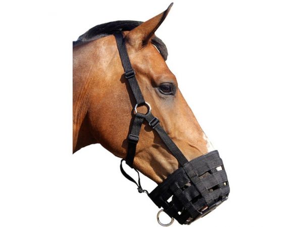 Opvoeding En team Vaarwel Graasmasker kopen? Goedkoop geleverd, snel in huis | Goedkopepaardendekens.nl Opvoeding En team Vaarwel Graasmasker kopen? Goedkoop geleverd, snel in huis | Goedkopepaardendekens.nl