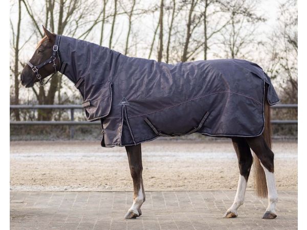 verschil Schaar Harmonie Regendeken 300gram met vaste hals mineral Deken turnout met hals |  Goedkopepaardendekens.nl