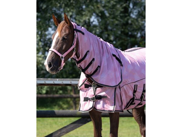 Raak verstrikt Wees Informeer Vliegendeken met losse hals, buikflap, incl. vernieuwd masker met neus flap | Goedkopepaardendekens.nl Raak verstrikt Wees Informeer Vliegendeken met losse hals, buikflap, incl. vernieuwd masker met neus flap | Goedkopepaardendekens.nl