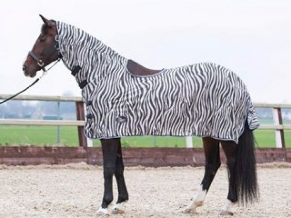 Harry Horse Vliegenrijdeken Zebra