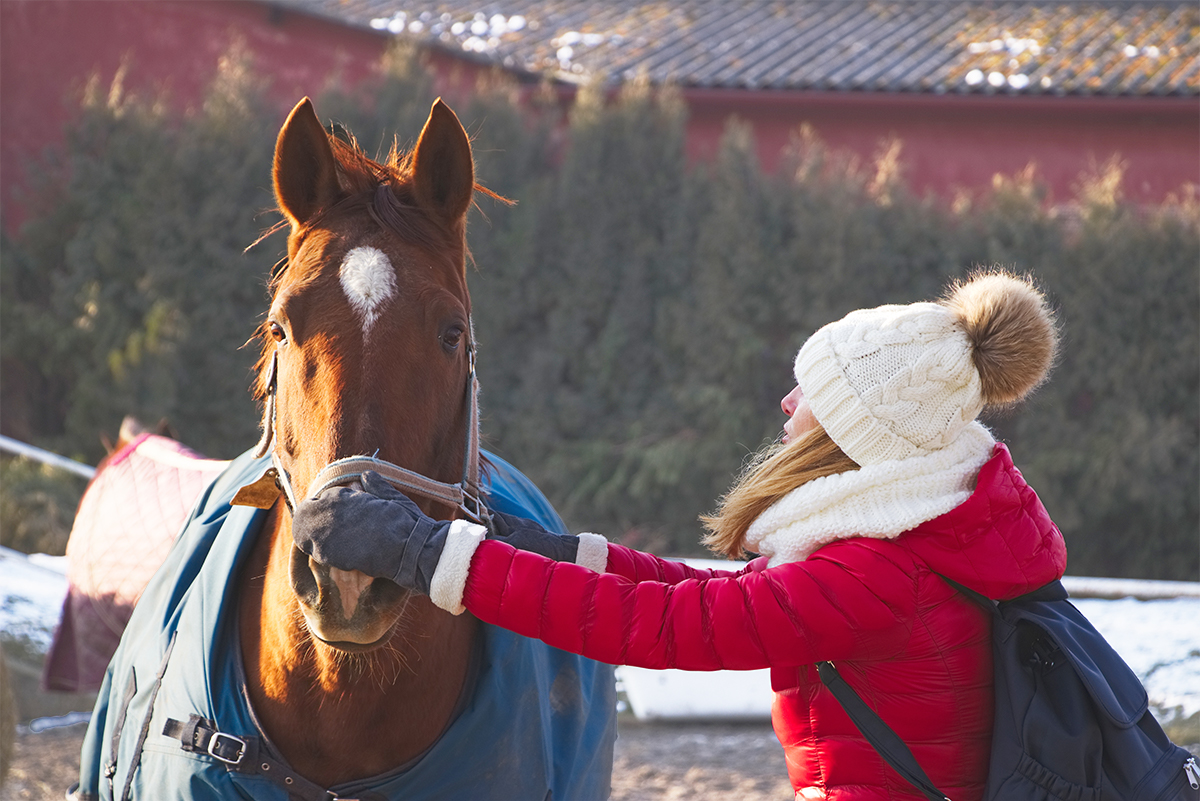 Hoe doe je een paard een deken om?