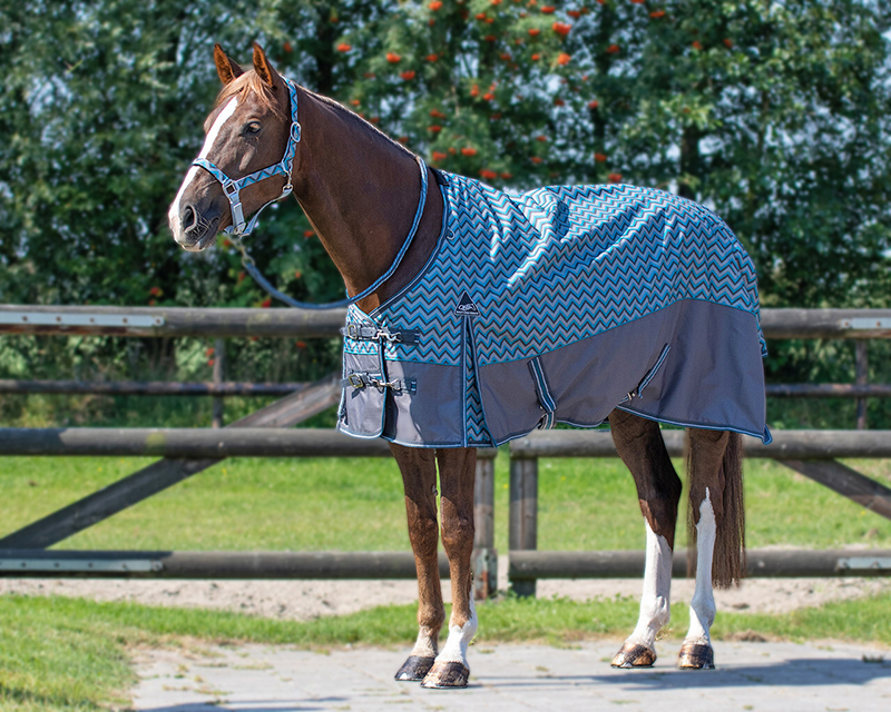 Atlantische Oceaan tragedie eend Welk merk deken doe ik op mijn paard? 4 topmerken | Goedkopepaardendekens.nl