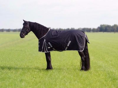 Regendeken 0 gram XL paardendeken, speciaal voor bredere paarden 