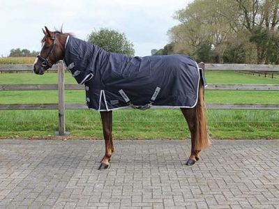 Buitendeken 300 gram Met vaste Hals Donkerblauwe paardendeken