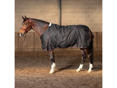 Harry's horse Regendeken Thor 200 WI25