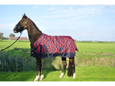 Buitendeken 300 gram rood/blauwe paardendeken