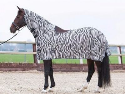 Harry Horse Vliegenrijdeken  Zebra