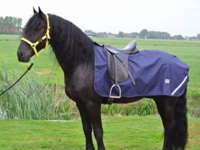 Uitrijdeken waterdicht met fleecevoering paardendeken