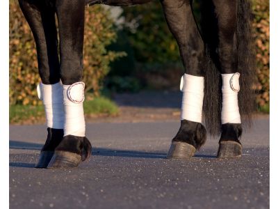 Bandage patches Q Friesian