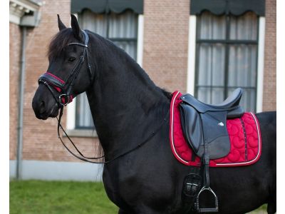 Neusriem onderlegger Q Friesian