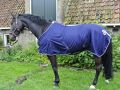 Vliegendeken met ornament blauw