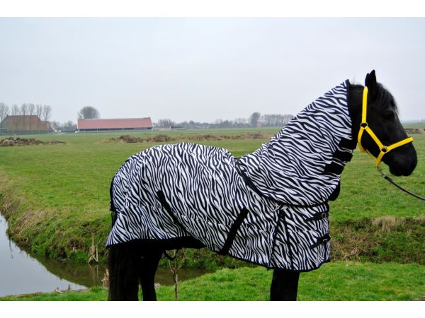 Nekstuk Zebra