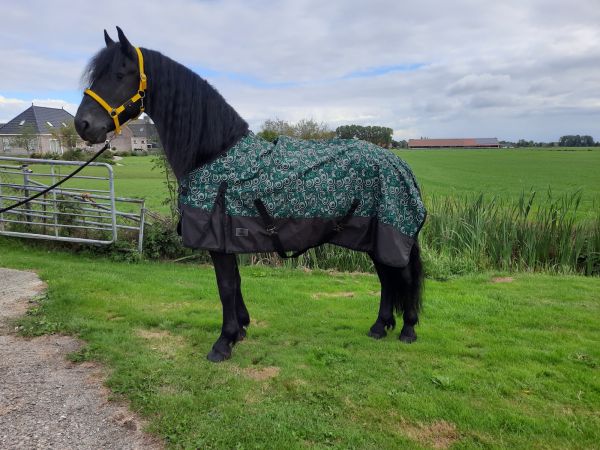 Regendeken luxe 0gram met fleece voering Green/swirl