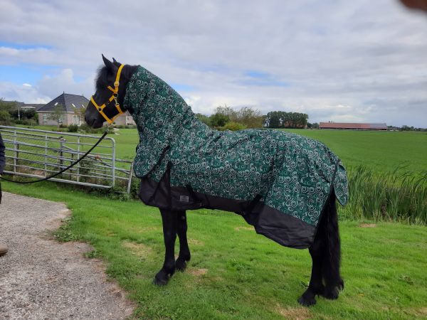 Regendeken luxe met vaste hals 300gram Green/swirl Buitendeken