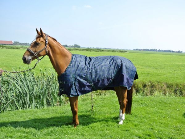 Buitendeken 400 gram blauw gehokt