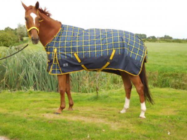 Buitendeken 200 gram Navy/gele ruit paardendeken