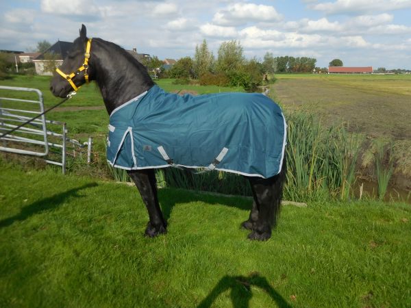 Buitendeken de luxe 450gr petrol groen paardendeken