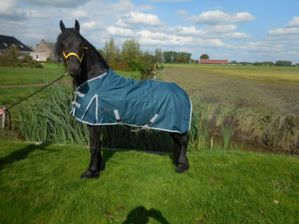 Buitendeken de luxe 450gr petrol groen paardendeken