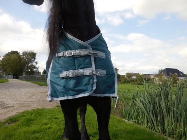 Buitendeken de luxe 450gr petrol groen paardendeken