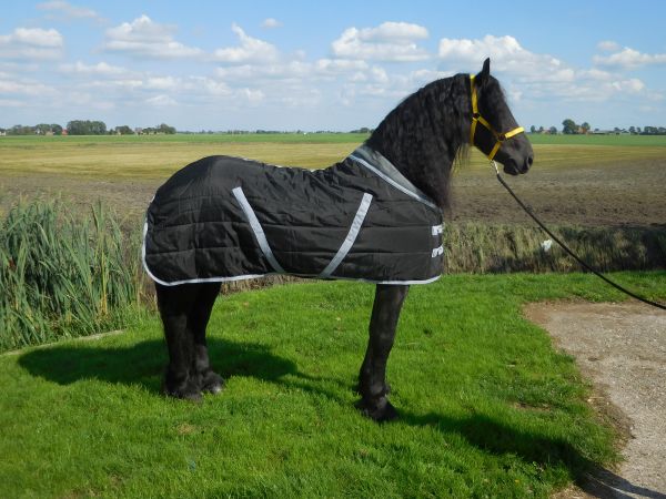 Staldeken luxe met fleecekraag (300gr) goedkopepaardendekens zwart met grijs 