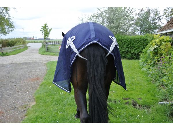 Vliegendeken met ornament blauw