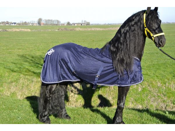 Vliegendeken met ornament blauw
