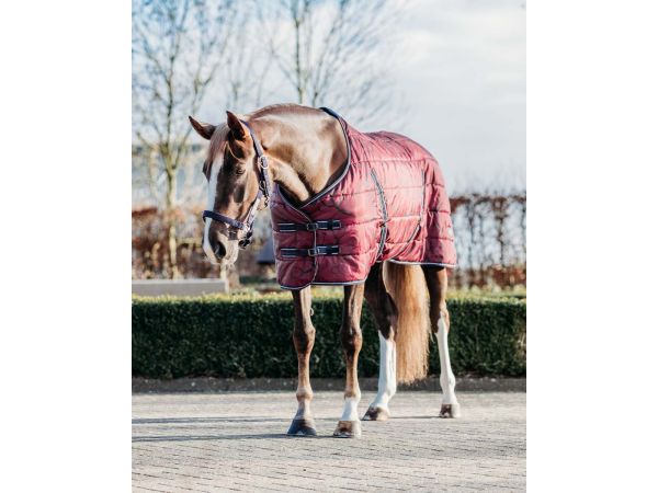 Staldeken start 200gram Saddlery 