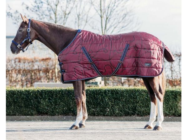 Staldeken start 200gram Saddlery 