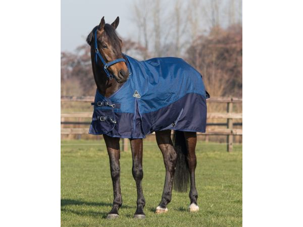 REGENDEKEN LUXE 0 GRAM MET FLEECEVOERING GRAPIHIC PAARDENDEKEN