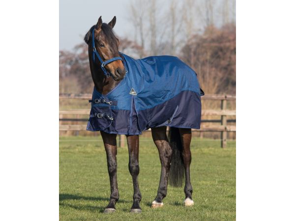 REGENDEKEN LUXE 450 GRAM GRAPIHIC PAARDENDEKEN