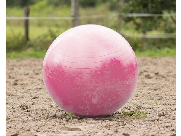 Paardenvoetbal blauw of roze