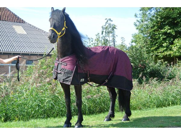 Regendeken luxe 150 gram Zwart/wine red Buitendeken