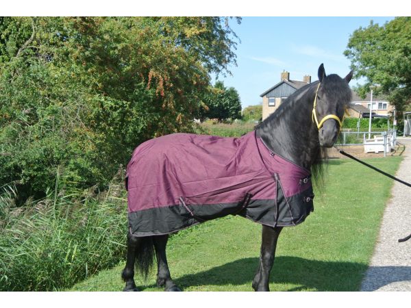 Regendeken de luxe 300 gram Zwart/wine red