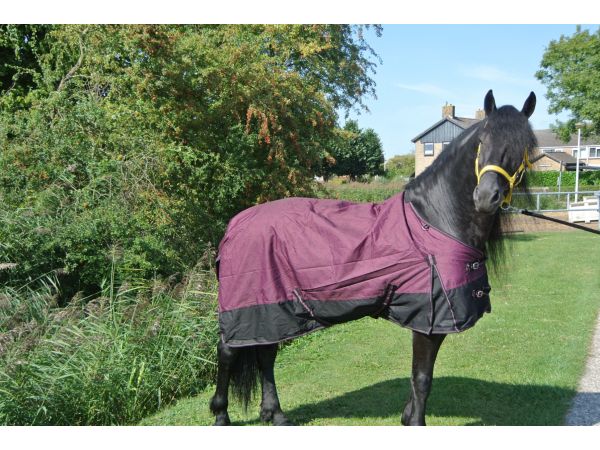 Regendeken luxe 0 gram met fleece voering Zwart/wine red