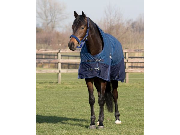 REGENDEKEN LUXE 450 GRAM GRAPIHIC PAARDENDEKEN